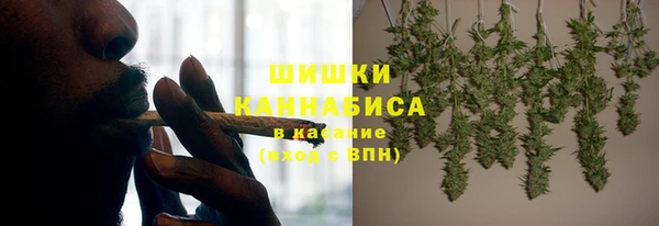 хмурый Алзамай