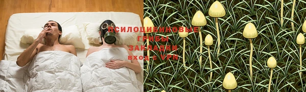 хмурый Пересвет