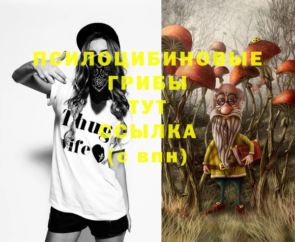 твердый Переславль-Залесский