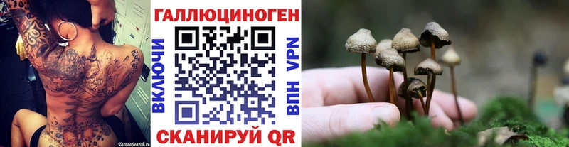 Галлюциногенные грибы MAGIC MUSHROOMS  Амурск 